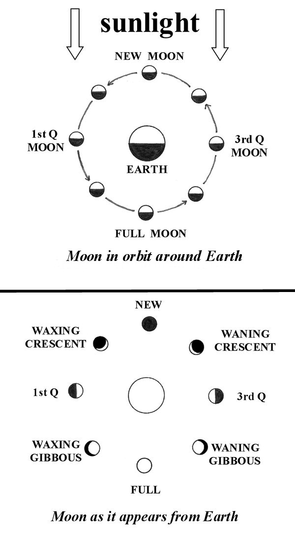 Moon Phases